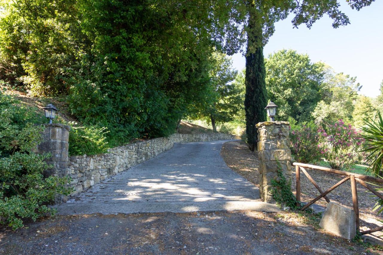 Case&Colline Buonriposo Montescudaio Exterior foto